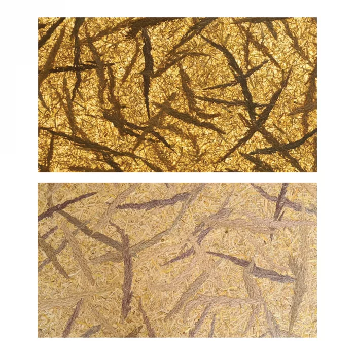 Calam - Triticum Cast - Image 3