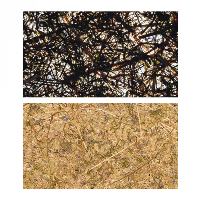 Gramina - Hay Wallpaper - Image 2