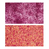 Peony Dark Textile - Image 3