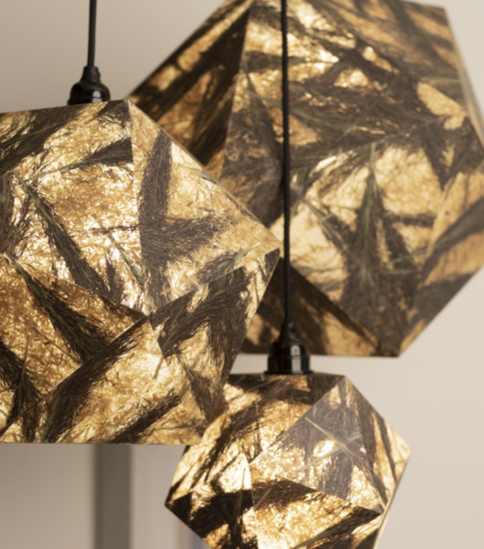 Phragmit - Reed Cast - Image 3