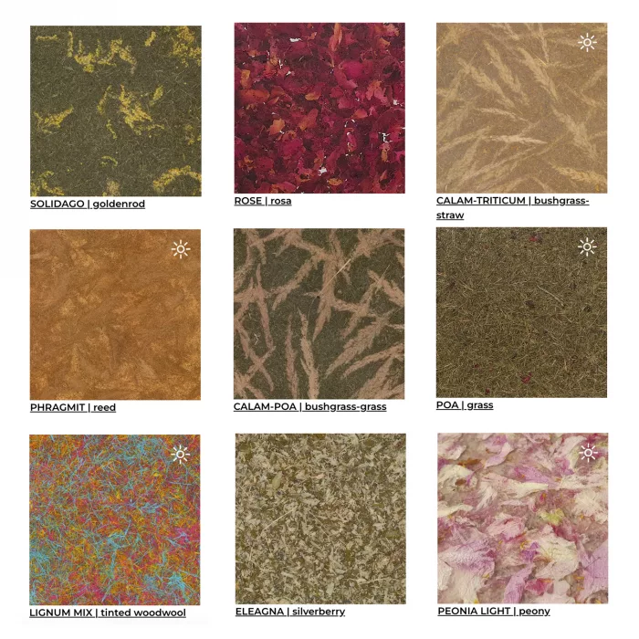 Calam - Triticum Cast - Image 2