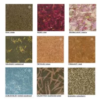 Calam - Triticum Glass - Image 4