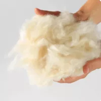 Bespoke Mycelium Furniture - Image 6