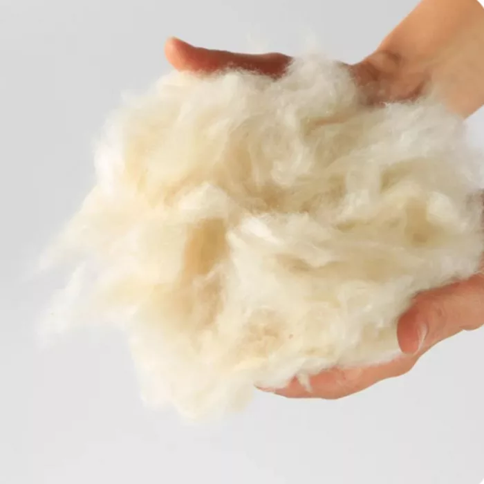 Bespoke Mycelium Furniture - Image 6