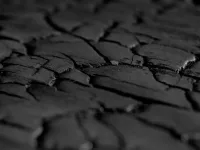 Burned Wood Douglas