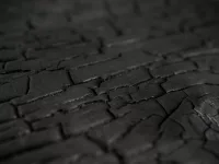 Burned Wood Accoya Rustic - Image 2