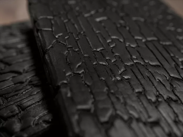 Burned Wood Accoya - Image 4