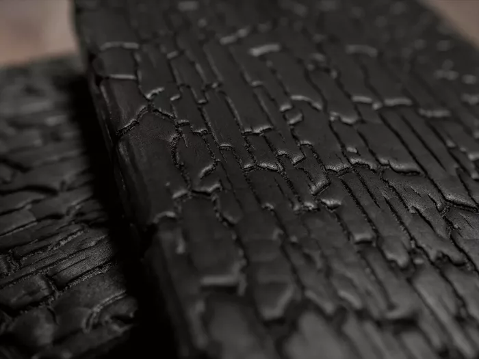 Burned Wood Accoya - Image 4