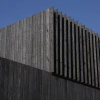 Burned Wood Douglas - Image 5