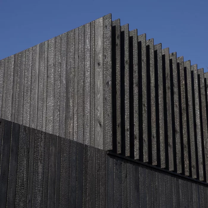 Burned Wood Douglas - Image 5