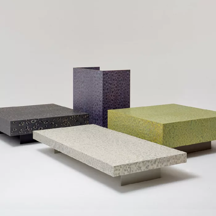 Mouse 01_02 - Image 4