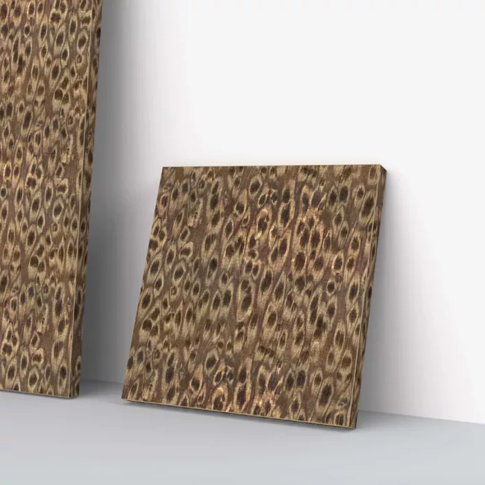 Bear 06_30 - Image 2