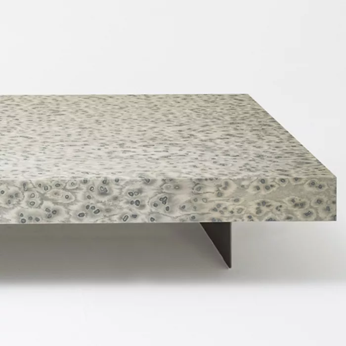 Mouse 01_02 - Image 3