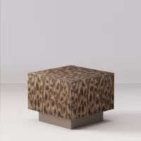 Bear 06_30 - Image 4