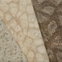 Pale Grey 05_32 - Image 3