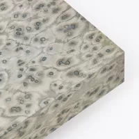 Mouse 01_02 - Image 2