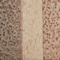 Light Terracotta 07_38 - Image 2