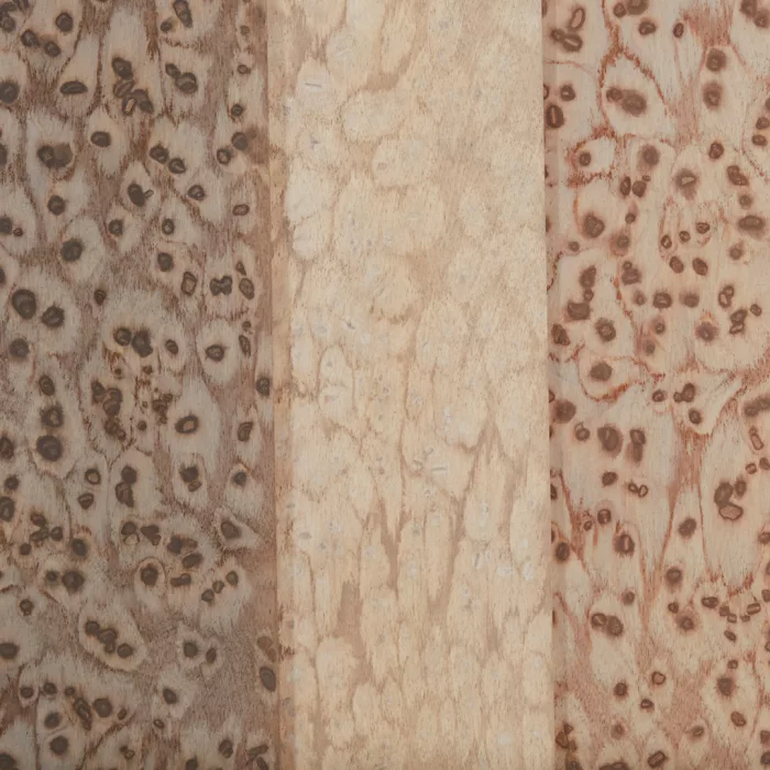 Light Terracotta 07_38 - Image 2