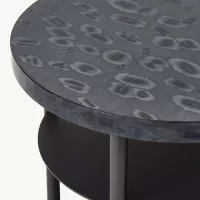 Black Panther 04_16 - Image 4