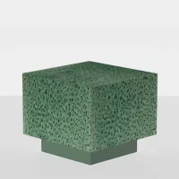 Algae 07_43 - Image 2