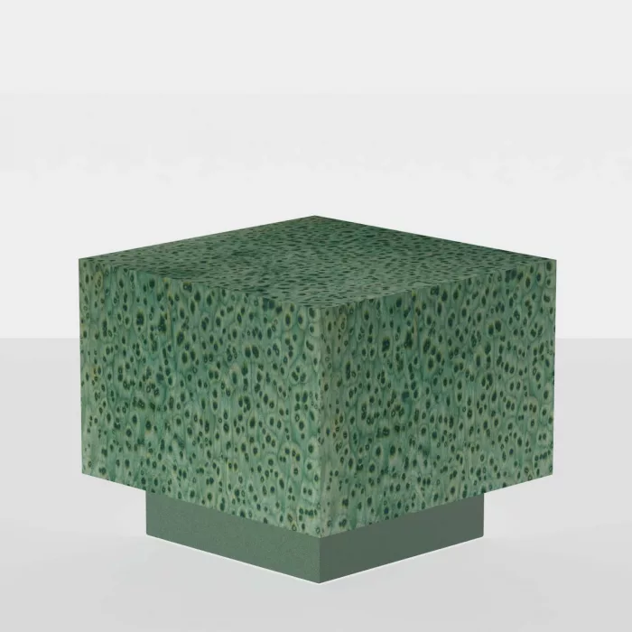 Algae 07_43 - Image 2