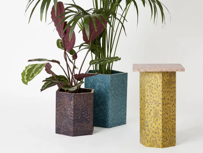 Aqua 01_72 - Image 4