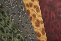 Bordeaux 06_45 - Image 3