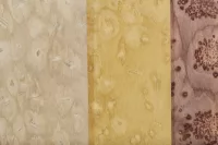 Ebony 06_37 - Image 5