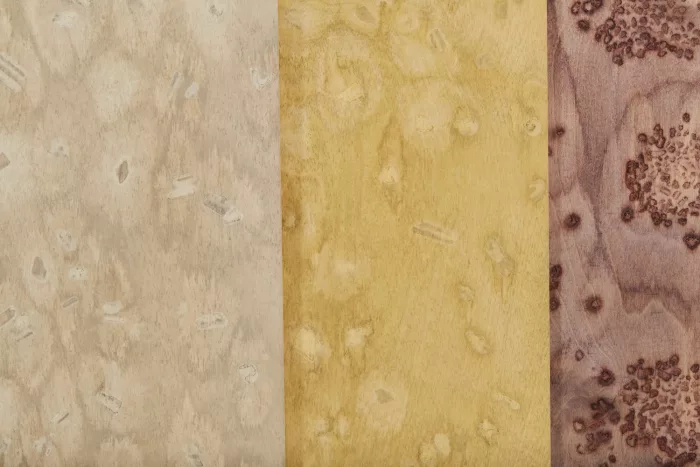 Ebony 06_37 - Image 5