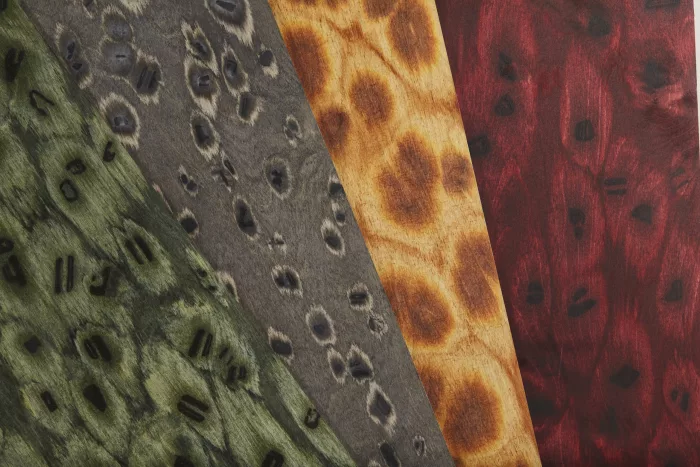 Giraffe 06_28 - Image 3