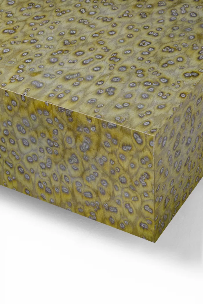 Lime 07_35 - Image 3