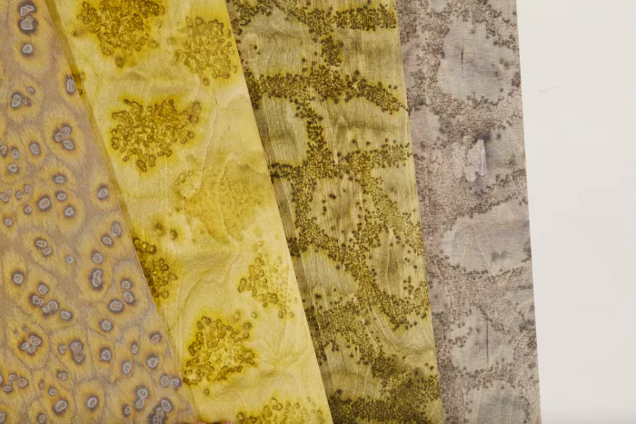 Lime 07_35 - Image 5