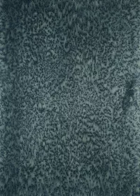 Night 04_14 - Image 2