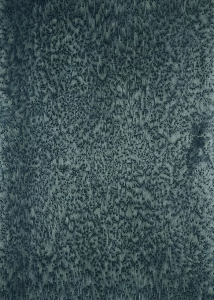 Night 04_14 - Image 2