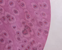 Raspberry 07_51 - Image 5