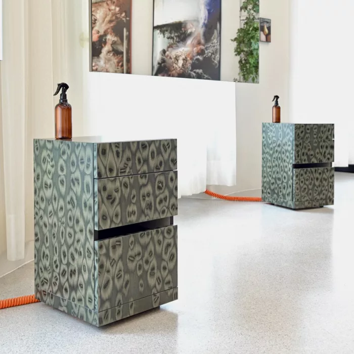 Reptile 06_75 - Image 2