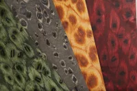 Reptile 06_75 - Image 4