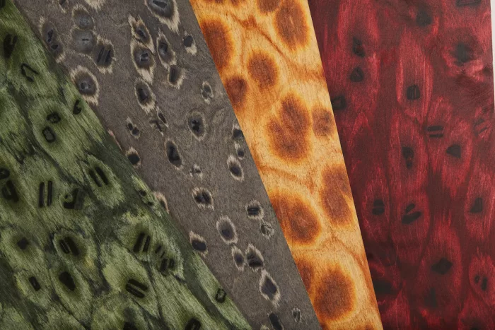 Reptile 06_75 - Image 4