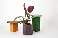 Kambo 01_GG - Image 2