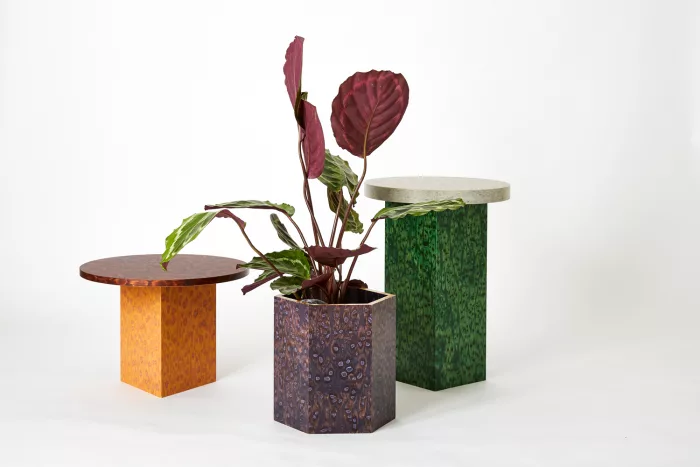 Kambo 01_GG - Image 2