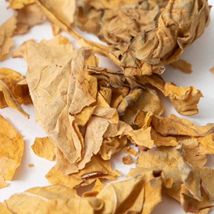 Food Waste Pendant Small - Image 6