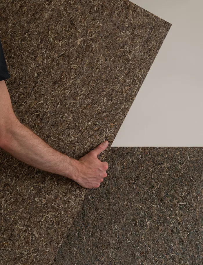 Eelgrass Acoustic Boards - Image 3