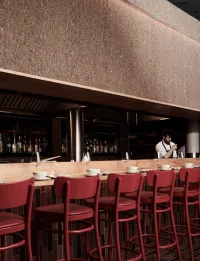 Eelgrass Acoustic Mats - Image 2