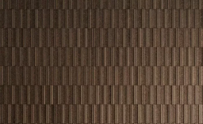 Eelgrass Fragments - Image 3