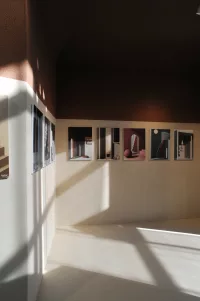 TerraTon Floor Structured - Image 5