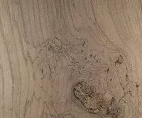 Fossil Wood Ash - Image 2