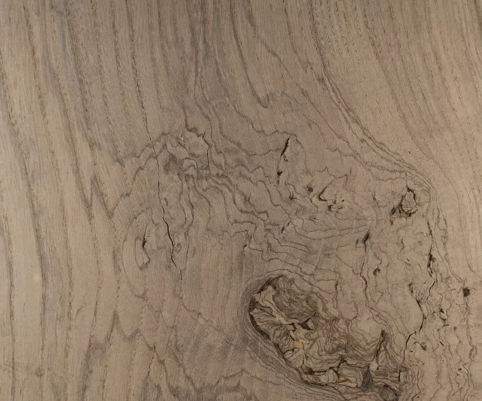Fossil Wood Ash - Image 2
