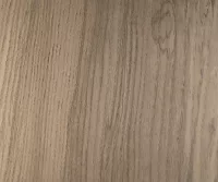 Fossil Wood Ash - Image 3