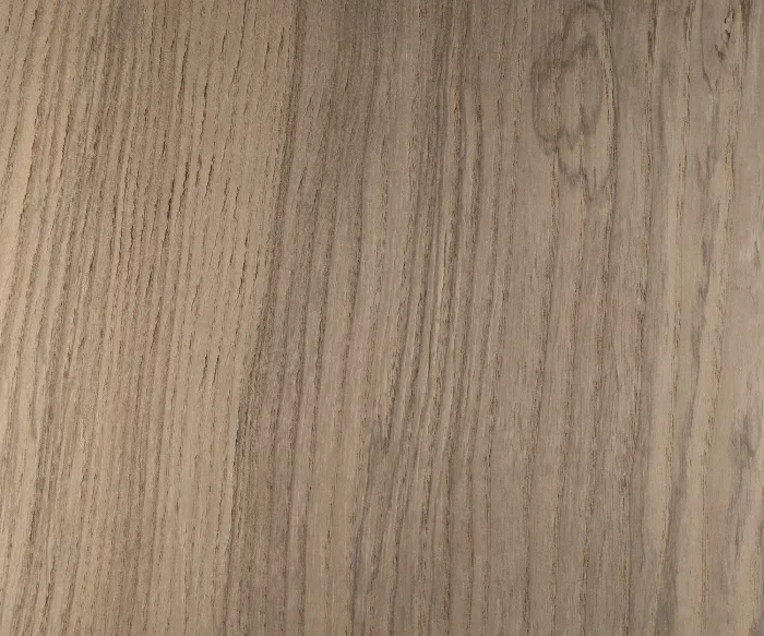 Fossil Wood Ash - Image 3