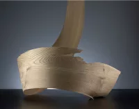 Fossil Wood Elm - Image 2